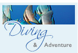 Diving & Adventure